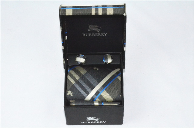 Burberry Ties 14